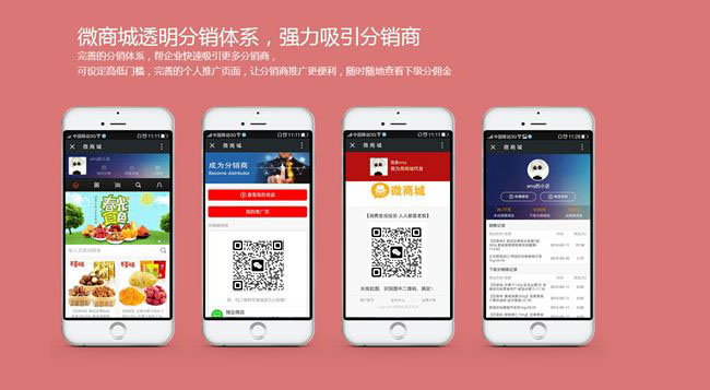 <a href='/fenxiao/' target='_blank'><u>三級分銷</u></a>系統(tǒng)